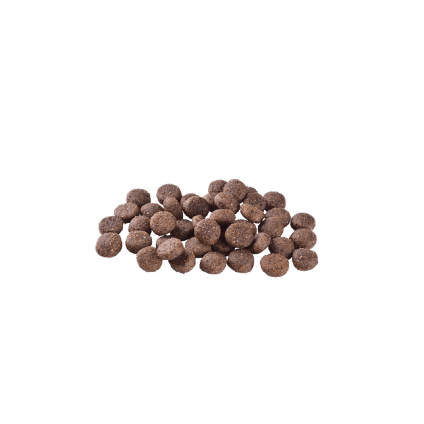 Корм сухий Brit Care Dog Grain-free Adult для дорослих собак малих і середніх порід беззерновий з лососем 12 кг, фото 4