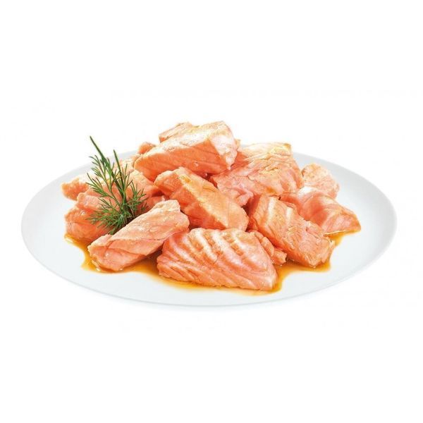 Влажный корм для стерилизованных кошек Brit Premium Cat pouch Salmon Fillets in Gravy филе лосося в соусе, 85 г 111254/562 фото