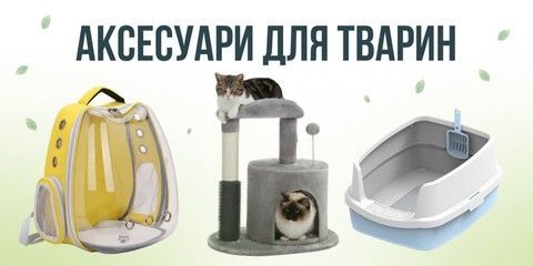 Banner from design