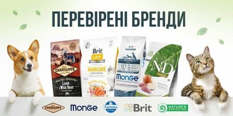 Banner from design