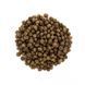 Сухой корм для котят Brit Care Cat GF Kitten HGrowth & Developmen, здоровый рост и развитие, 2 кг 171278 фото 5